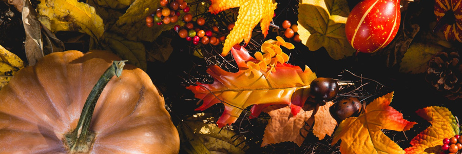 5-nov